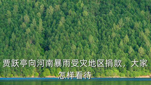賈躍亭向河南暴雨受災地區捐款，大家怎樣看待
