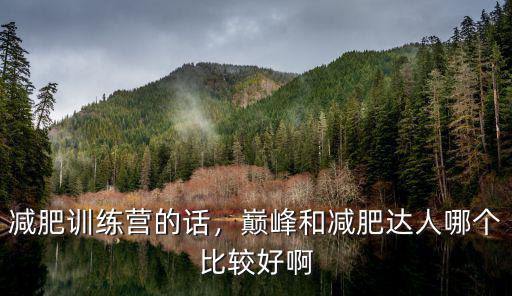 減肥訓練營的話，巔峰和減肥達人哪個比較好啊
