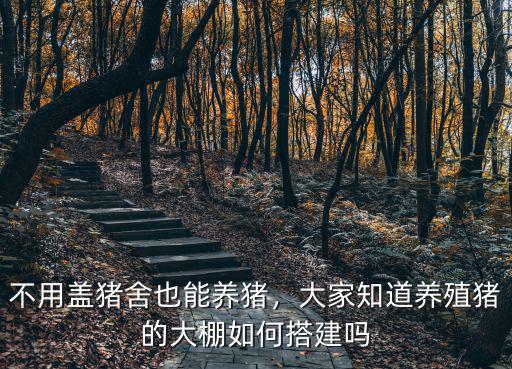 濮陽養豬大棚怎么安裝,大棚養豬怎么建
