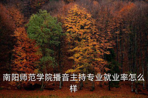 南陽師范學院播音主持專業就業率怎么樣