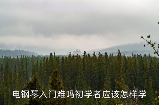 許昌學(xué)電鋼琴多少錢,學(xué)習(xí)鋼琴大概要花多少錢