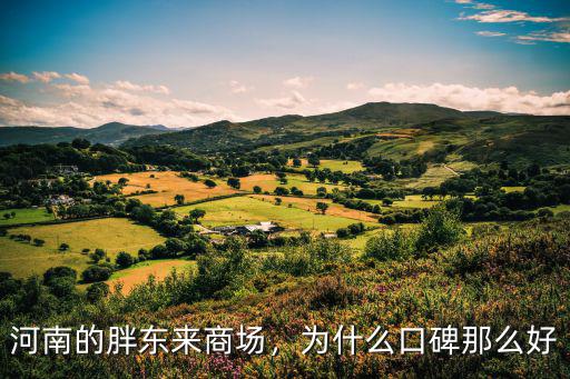 河南的網(wǎng)紅店在哪里,河南的胖東來商場
