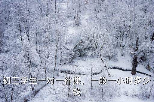 一對一家教上門多少錢駐馬店,一般一小時多少錢