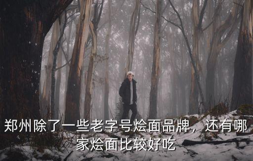 鄭州除了一些老字號燴面品牌，還有哪家燴面比較好吃