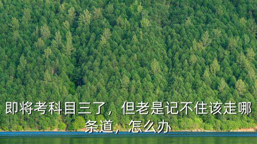 即將考科目三了，但老是記不住該走哪條道，怎么辦