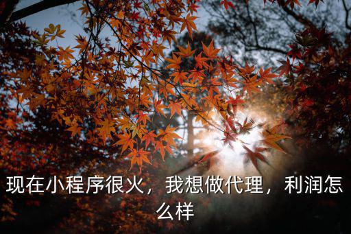 鄭州小程序代理怎么樣,現在小程序代理怎么樣