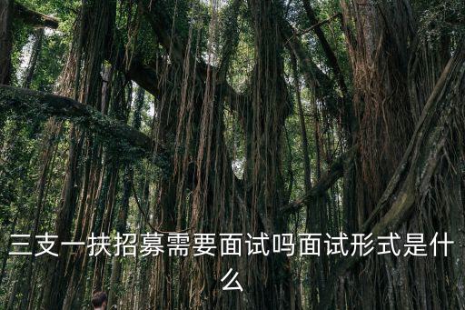 三支一扶招募需要面試嗎面試形式是什么