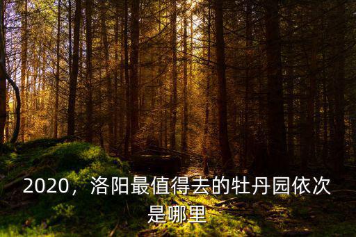 2020年洛陽跨年去哪里,2020年就要到了