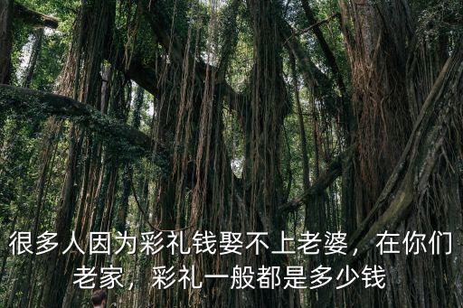 現在漯河彩禮的多少錢,你家鄉的彩禮現在多少錢了