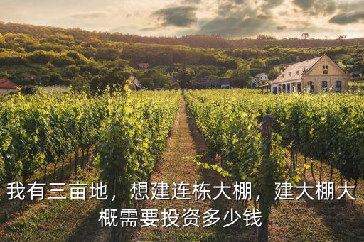鶴壁玻璃連棟溫室大棚多少錢,想建連棟大棚