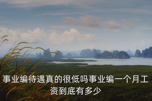 新鄉(xiāng)長垣事業(yè)編有多少工資,事業(yè)編一個月工資到底有多少