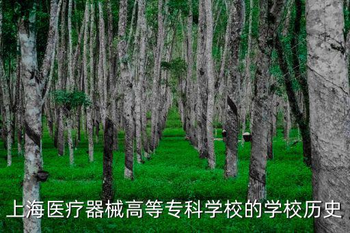 上海醫療器械高等專科學校，上海醫療器械高等專科學校就業率好嗎