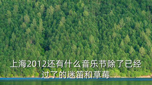 上海2012還有什么音樂節除了已經過了的迷笛和草莓