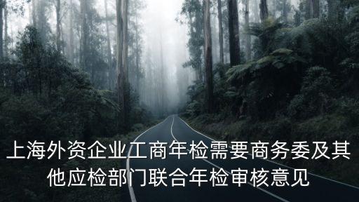 上海外資企業工商年檢需要商務委及其他應檢部門聯合年檢審核意見