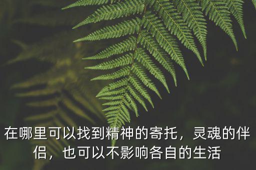 在哪里可以找到精神的寄托，靈魂的伴侶，也可以不影響各自的生活