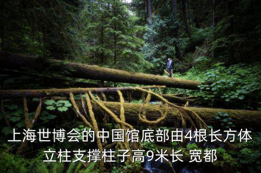 上海世博會的中國館底部由4根長方體立柱支撐柱子高9米長 寬都