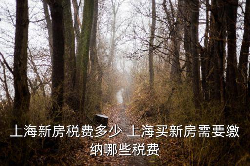 上海新房稅費(fèi)多少 上海買新房需要繳納哪些稅費(fèi)
