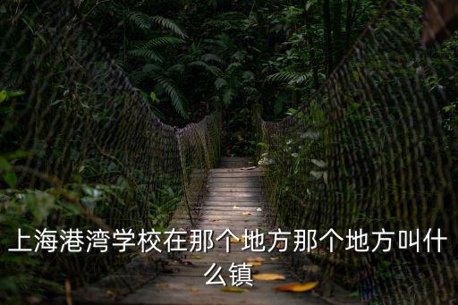上海港灣學校在那個地方那個地方叫什么鎮
