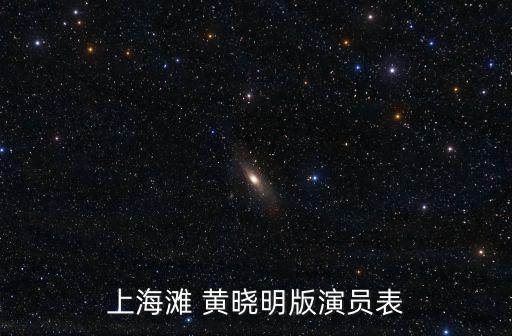上海灘黃曉明，黃曉明演的上海灘怎么樣