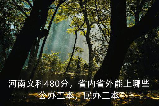 河南文科省外多少分上公辦二本,河南文科480分