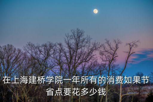 在上海建橋學院一年所有的消費如果節省點要花多少錢