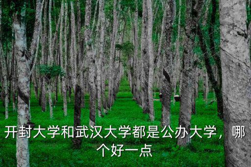 開封大學和武漢大學都是公辦大學，哪個好一點