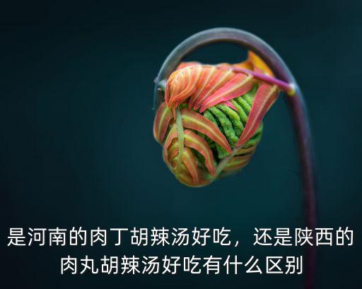 是河南的肉丁胡辣湯好吃，還是陜西的肉丸胡辣湯好吃有什么區(qū)別