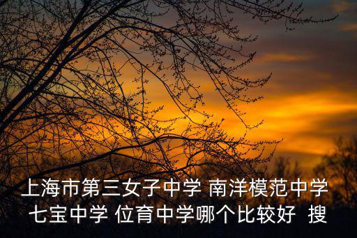 上海市第三女子中學(xué) 南洋模范中學(xué) 七寶中學(xué) 位育中學(xué)哪個比較好  搜