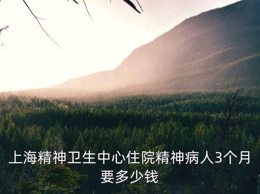 上海精神衛(wèi)生中心住院精神病人3個(gè)月要多少錢