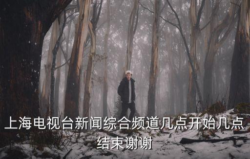 上海電視臺新聞綜合頻道，上海電視臺新聞綜合頻道的新聞坊是幾點開始到幾點結束
