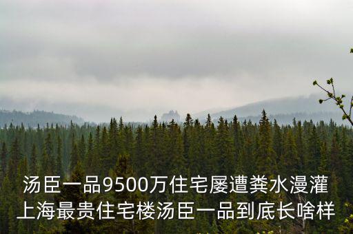 上海最貴的房子，上海最貴的房價是多少