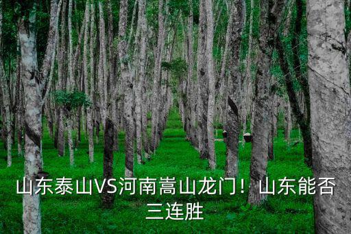 河南嵩山龍門vs深圳隊怎么買票,2河南嵩山龍門