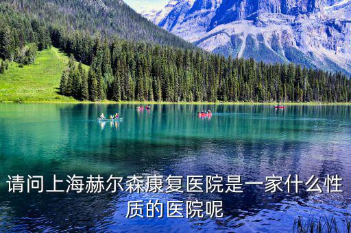 請問上海赫爾森康復醫院是一家什么性質的醫院呢