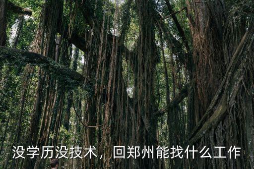 沒(méi)學(xué)歷沒(méi)技術(shù)，回鄭州能找什么工作