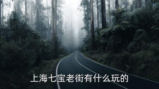 上海七寶老街，上海的七寶老街有什么好吃的