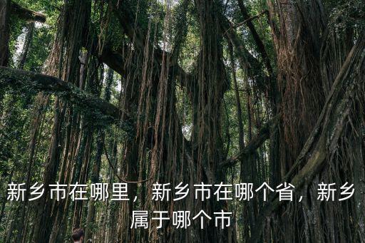新鄉(xiāng)市在哪里，新鄉(xiāng)市在哪個省，新鄉(xiāng)屬于哪個市