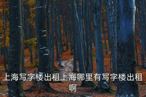 上海寫(xiě)字樓出租上海哪里有寫(xiě)字樓出租啊