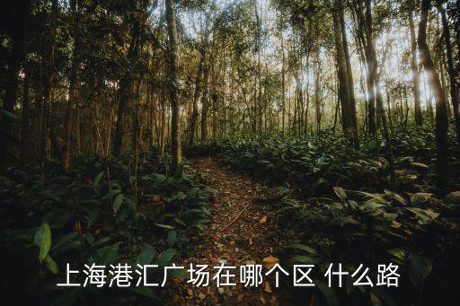 上海港匯廣場在哪個區 什么路