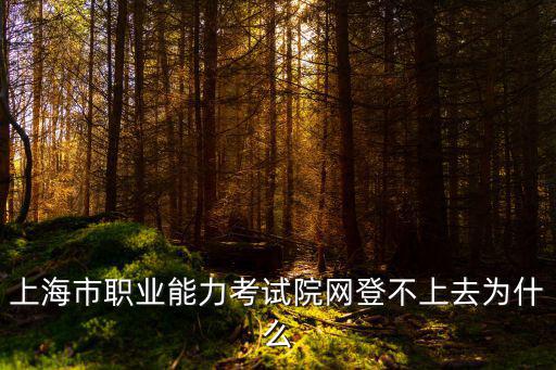 上海市職業(yè)能力考試院，上海市職業(yè)能力考試院網(wǎng)登不上去為什么