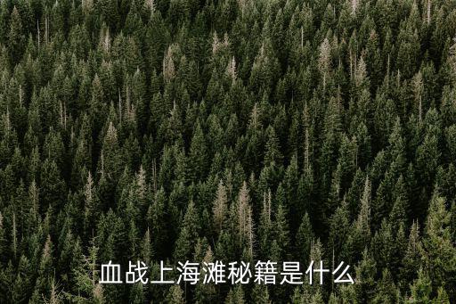 血戰(zhàn)上海灘秘籍是什么