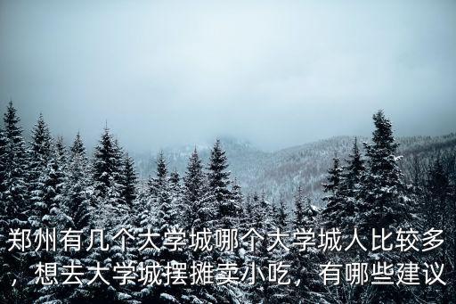 鄭州有幾個大學城哪個大學城人比較多，想去大學城擺攤賣小吃，有哪些建議