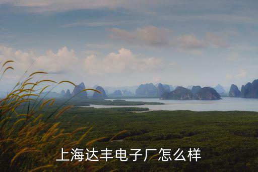 上海達(dá)豐電子廠怎么樣