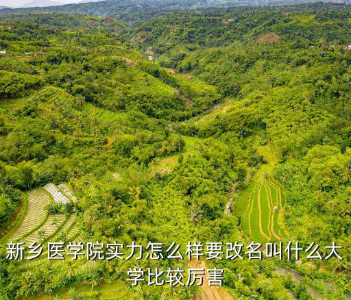 新鄉(xiāng)醫(yī)學(xué)院實力怎么樣要改名叫什么大學(xué)比較厲害