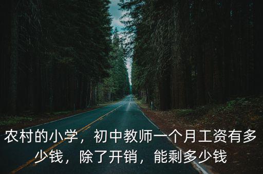 現在河南中小學教師工資多少,河南中小學教師工資有多少