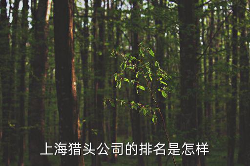 上海獵頭，上海專業的獵頭公司有哪些哪位說下
