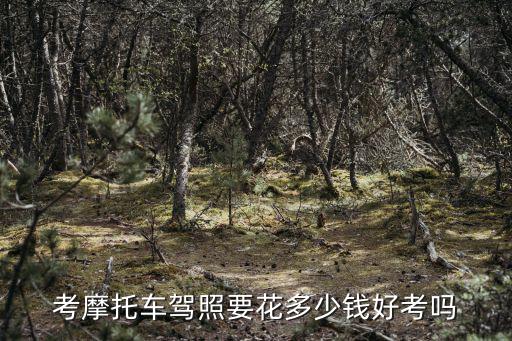 河南摩托車駕照多少費用,考摩托車駕照要花多少錢
