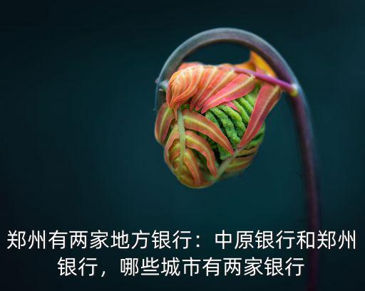 鄭州有兩家地方銀行：中原銀行和鄭州銀行，哪些城市有兩家銀行