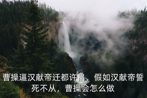 曹操逼漢獻帝遷都許昌，假如漢獻帝誓死不從，曹操會怎么做