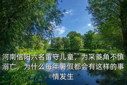 河南信陽六名留守兒童，為采菱角不慎溺亡，為什么每年暑假都會有這樣的事情發生