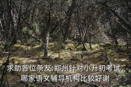 求助各位條友:鄭州針對小升初考試，哪家語文輔導機構比較好謝